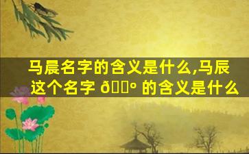 马晨名字的含义是什么,马辰这个名字 🐺 的含义是什么